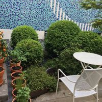 Small garden  at Coconut Cafe in Paris