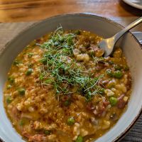 Mushroom and dried tomato risotto at GULA. in Guarda
