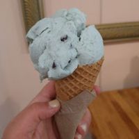 mint chocolate chip cone at Logan Vegan  in Chicago