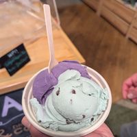  at Logan Vegan  in Chicago