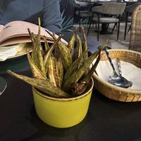 crispy okraa  at Capim Dourado in Porto