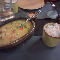 Bobo at Capim Dourado in Porto