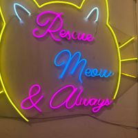  at WagWel Feline in Ho Chi Minh City