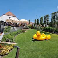 Garden at Malom és Kacsa in Tata