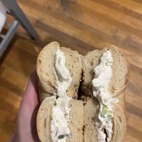 everything bagel with scallion tofu   at Ess a Bagel - W 32nd in New York City