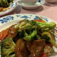 vegetarian chicken and broccoli. veganly delicious at New Plum Tree Garden Lemonleaf Grill in Langhorne