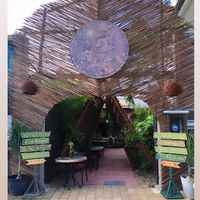   at Agni Vital Kitchen in Bacalar