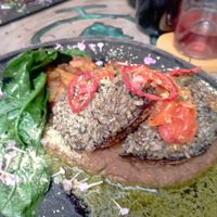  at Agni Vital Kitchen in Bacalar