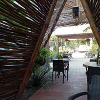  at Agni Vital Kitchen in Bacalar