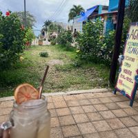   at Agni Vital Kitchen in Bacalar