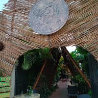  at Agni Vital Kitchen in Bacalar