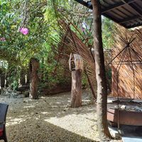  at Agni Vital Kitchen in Bacalar