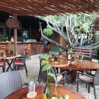 Inside at Agni Vital Kitchen in Bacalar