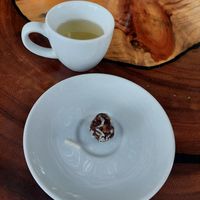 Complimentary at Agni Vital Kitchen in Bacalar