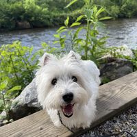   at Frog Level Brewing Co in Waynesville