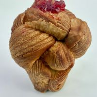 Mini peanut butter and jelly cruffin  at Flour Girl Bakeries - Delivery in Dubai