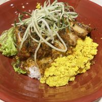 Thai style chicken cutlet ricee #Veganuary at Kang Su Vegetarian 康素 - Orchard in Central Singapore