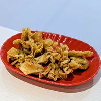 Vegan Fried Wanton at Kang Su Vegetarian 康素 - Orchard in Central Singapore