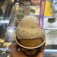   at Nossi Be in Bilbao