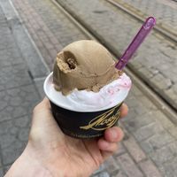   at Nossi Be in Bilbao