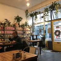   at Foliage Cafe in Bristol