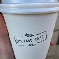  at Foliage Cafe in Bristol