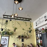   at Foliage Cafe in Bristol