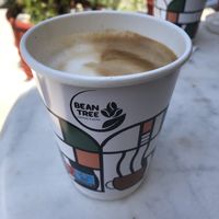   at Bean Tree in Skiathos