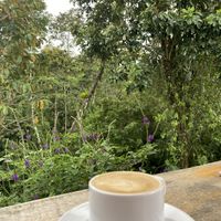   at Cafe Metropoli in La Fortuna