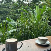   at Cafe Metropoli in La Fortuna