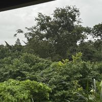   at Cafe Metropoli in La Fortuna