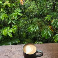  at Cafe Metropoli in La Fortuna