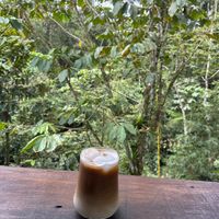   at Cafe Metropoli in La Fortuna