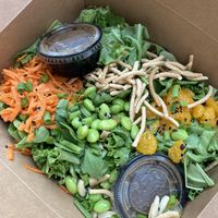  #Veganuary at The Whistling Kettle in Schenectady