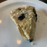 My small, stale scone  at The Whistling Kettle in Schenectady