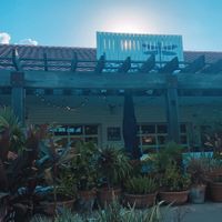 outside   at Bartaco in Orlando