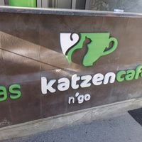  at Cat'n'Coffee in Klagenfurt