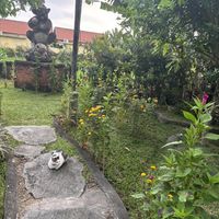 Beautiful garden  at Sweet Orange in Ubud