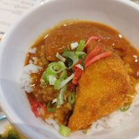 Regular pumpkin katsu curry with rice at YO! Sushi in Birmingham