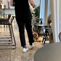   at Camionette in Antwerpen