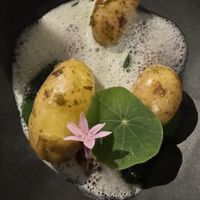   at Camionette in Antwerpen