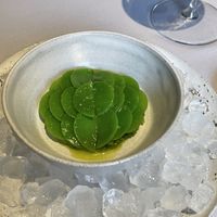 Pea  at Babel Budapest in Budapest