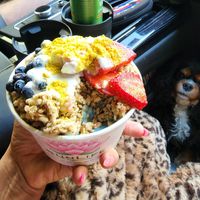 Top view at SunLife Organics in Austin