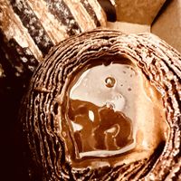   at Ethique Plant-based in Istanbul