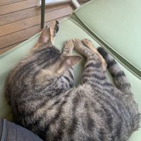   at Ethique Plant-based in Istanbul