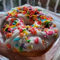  at Musabbaha Vegan Bakery in Puebla