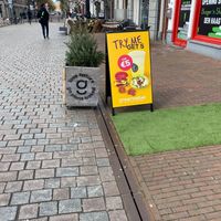  at Greenrebel in The Hague