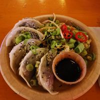 Dumplings at Silk Road in Oslo