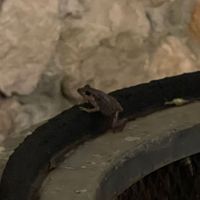  at Nena Nena in Valladolid