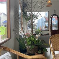 Inside  at Pure Vegan Heaven - Thong Sala in Koh Phangan